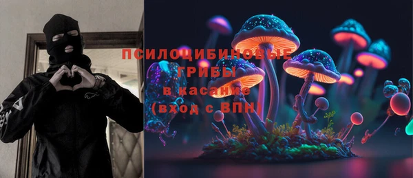 ПСИЛОЦИБИНОВЫЕ ГРИБЫ Алексеевка