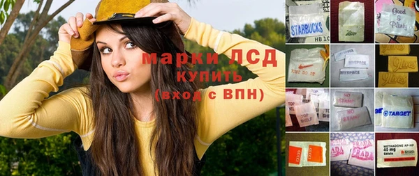 ПСИЛОЦИБИНОВЫЕ ГРИБЫ Алексеевка