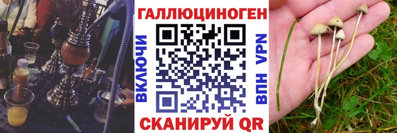 Псилоцибиновые грибы мухоморы  Сунжа 