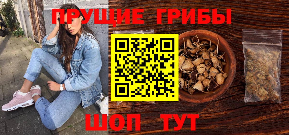 Сунжа  Псилоцибиновые грибы ЛСД  Вход с VPN 