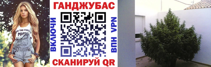 Конопля MAZAR Сунжа